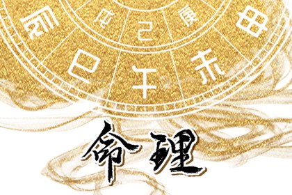 基本命盘查询_八字基本命盘查询_紫微星正缘很小_紫微星测算_命盘田宅宫看房产